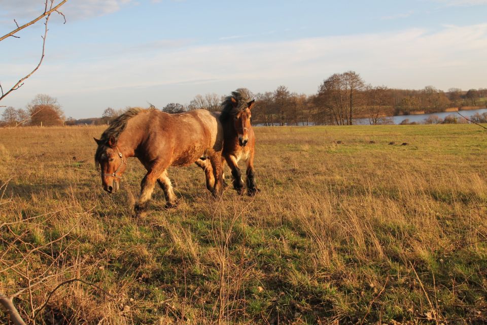 Haus am Krummen See Friedrichswalde, Foto: Tourismusverein Angermünde, Lizenz: Tourismusverein Angermünde